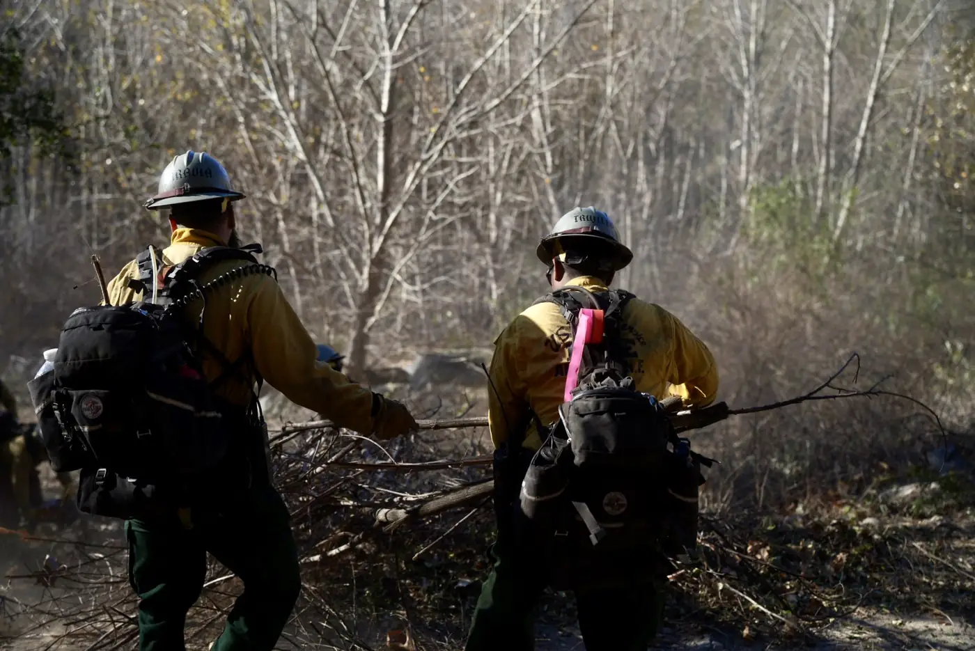 A fuels crew in yellow shirts and hard hats using chainsaws on a brushy hillside.